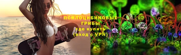соль ск Алексеевка