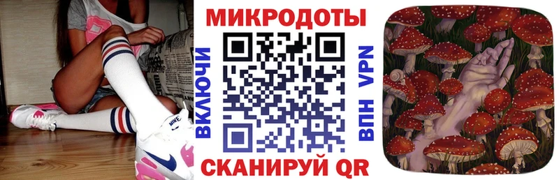 Псилоцибиновые грибы Psilocybe  Сухиничи 