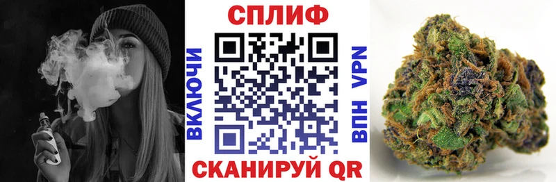 Бошки марихуана Amnesia  где купить   mega tor  Сухиничи 